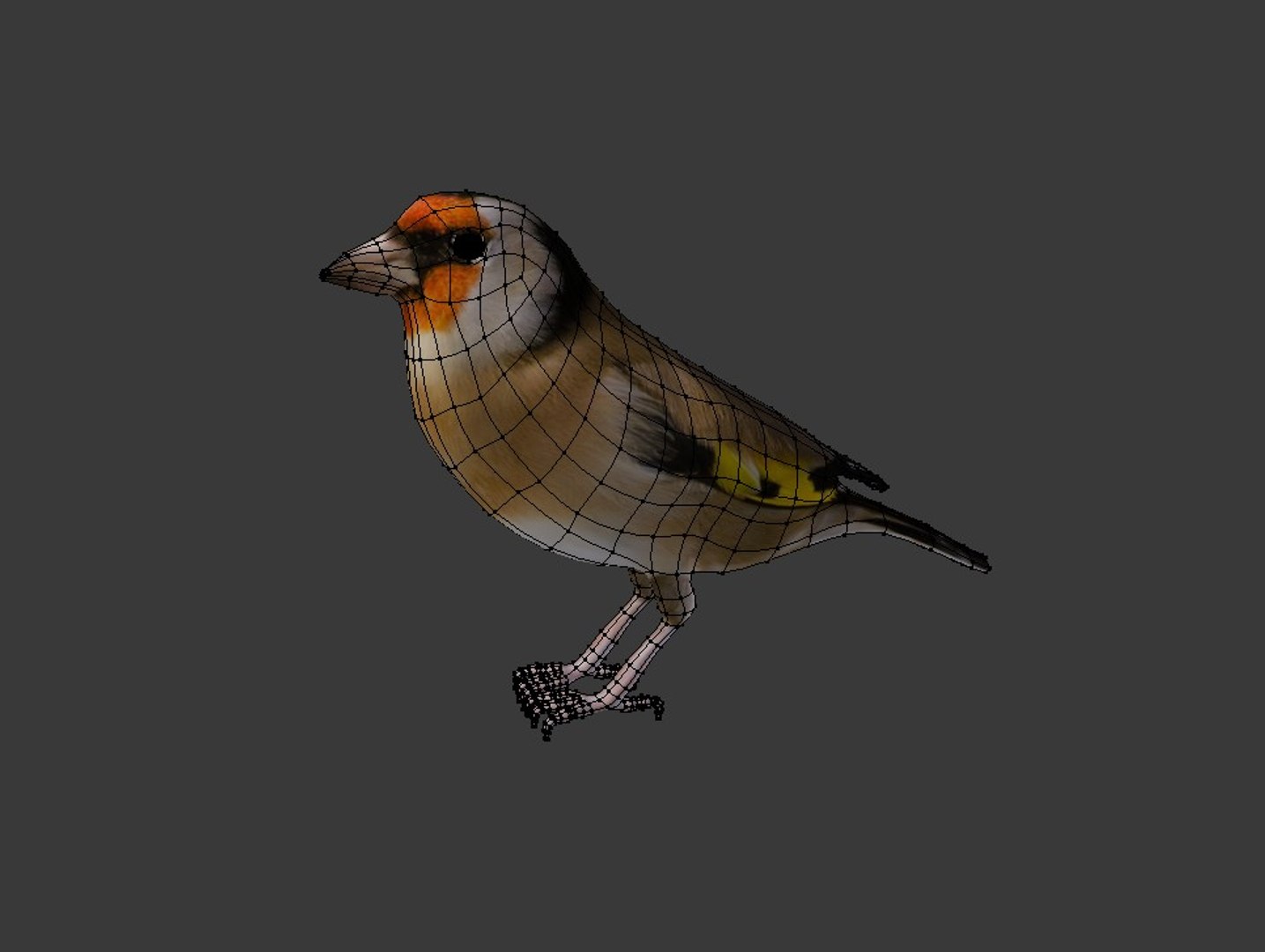 bird golden finch 3ds https://p.turbosquid.com/ts-thumb/X5/M8Lxed/zi0CrD8m/15/jpg/1485547526/1920x1080/fit_q87/8081d74976ffffc9dc5758db8021518b5ca8b1ee/15.jpg