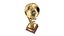 Sports Trophies Collection 3D model