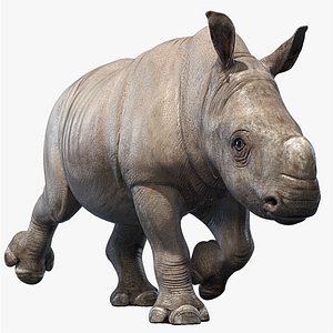 big rhino baby animations 3D model
