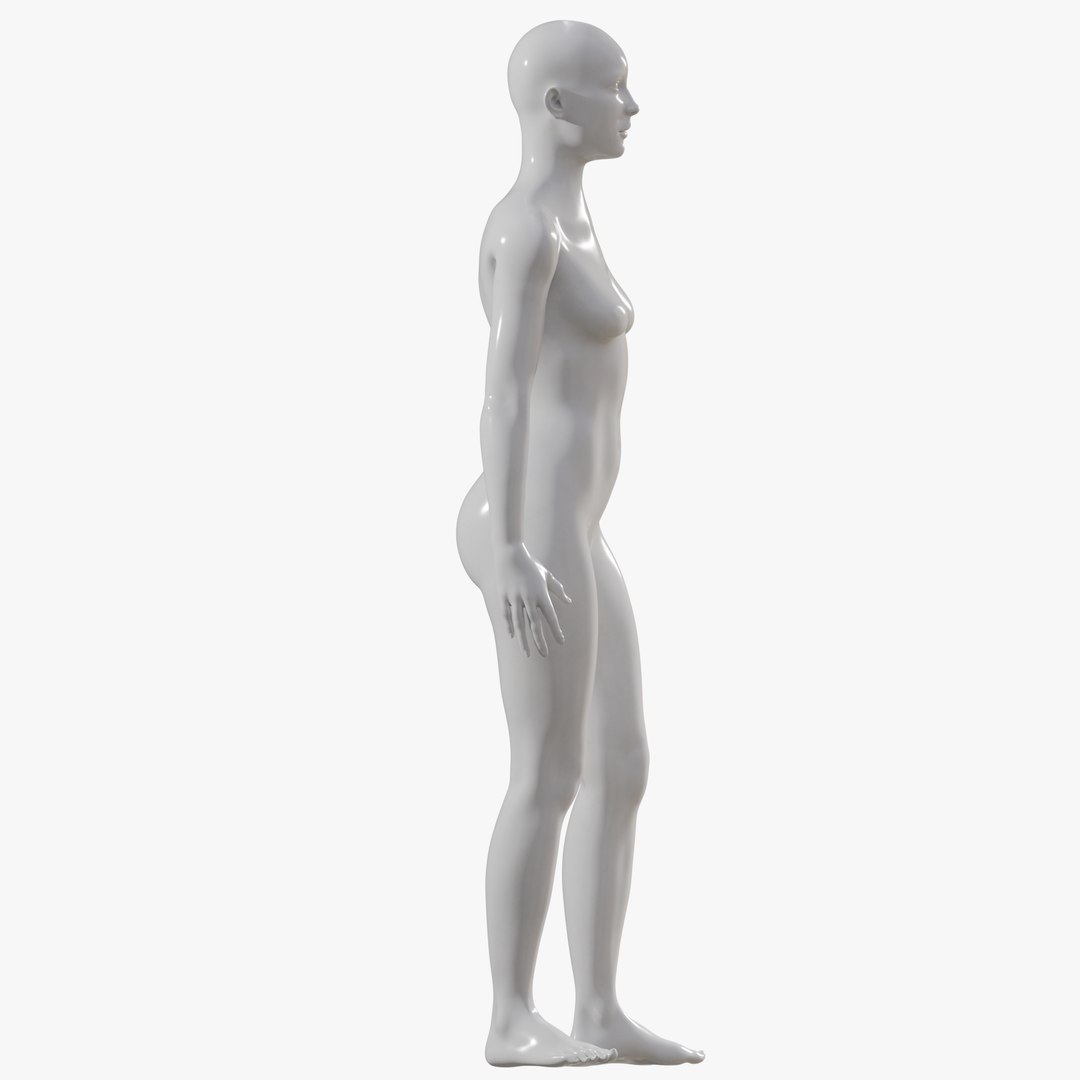 Female mannequin pose 2 PBR 3D model https://p.turbosquid.com/ts-thumb/X5/ckftyg/QR/allfem027/png/1771932841/1920x1080/fit_q87/f4b619f6d19608c614a9f15274e9821e4c4b223d/allfem027.jpg