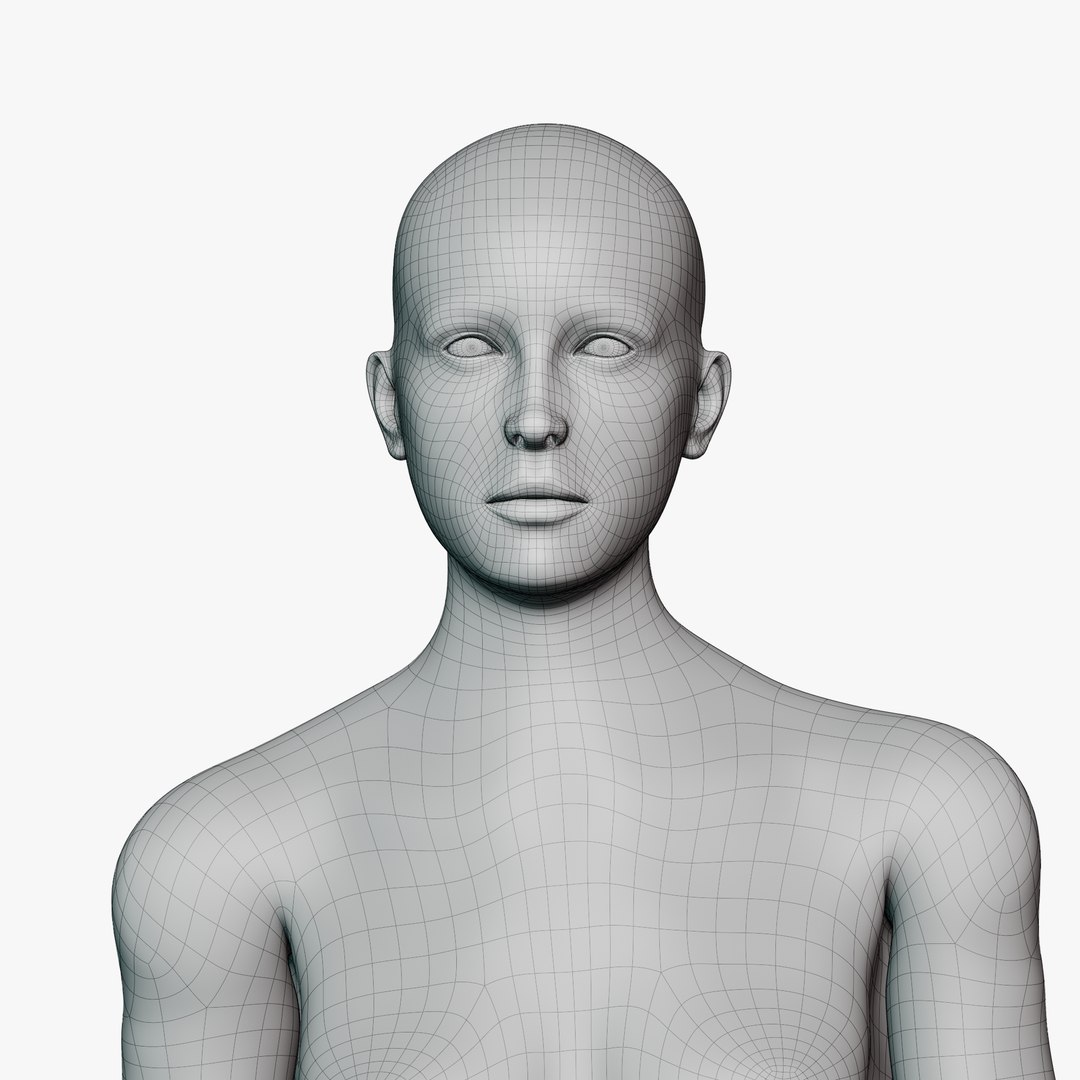 Female mannequin pose 2 PBR 3D model https://p.turbosquid.com/ts-thumb/X5/ckftyg/S2/wirerenderfem024/png/1771933182/1920x1080/fit_q87/97254886e24ec8959623e32dc4ca6cf884c3af31/wirerenderfem024.jpg