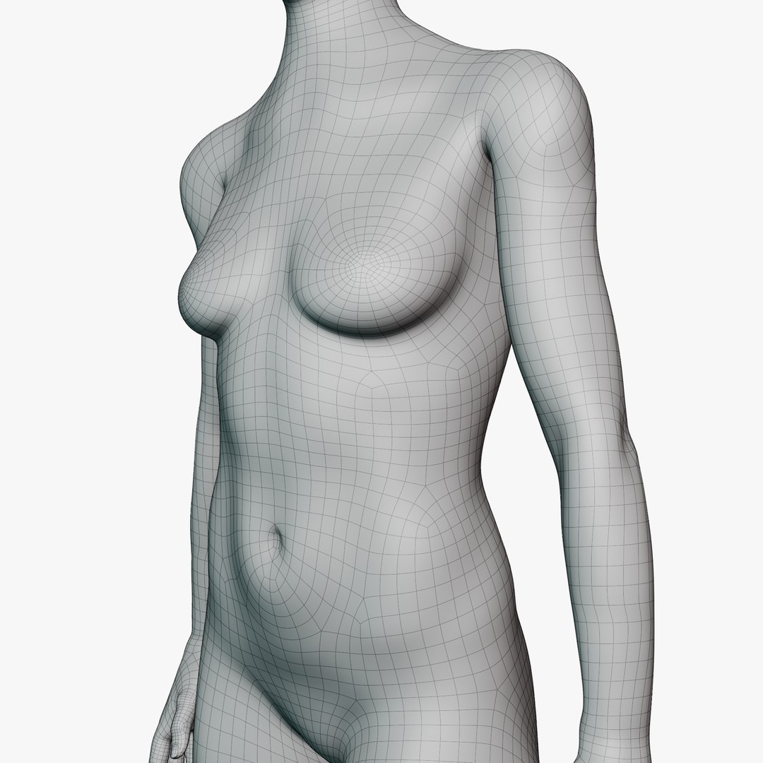 Female mannequin pose 2 PBR 3D model https://p.turbosquid.com/ts-thumb/X5/ckftyg/a9/wirerenderfem022/png/1771933182/1920x1080/fit_q87/e5ae38177ff242a0022a5615cdbb7b8b17b62abc/wirerenderfem022.jpg