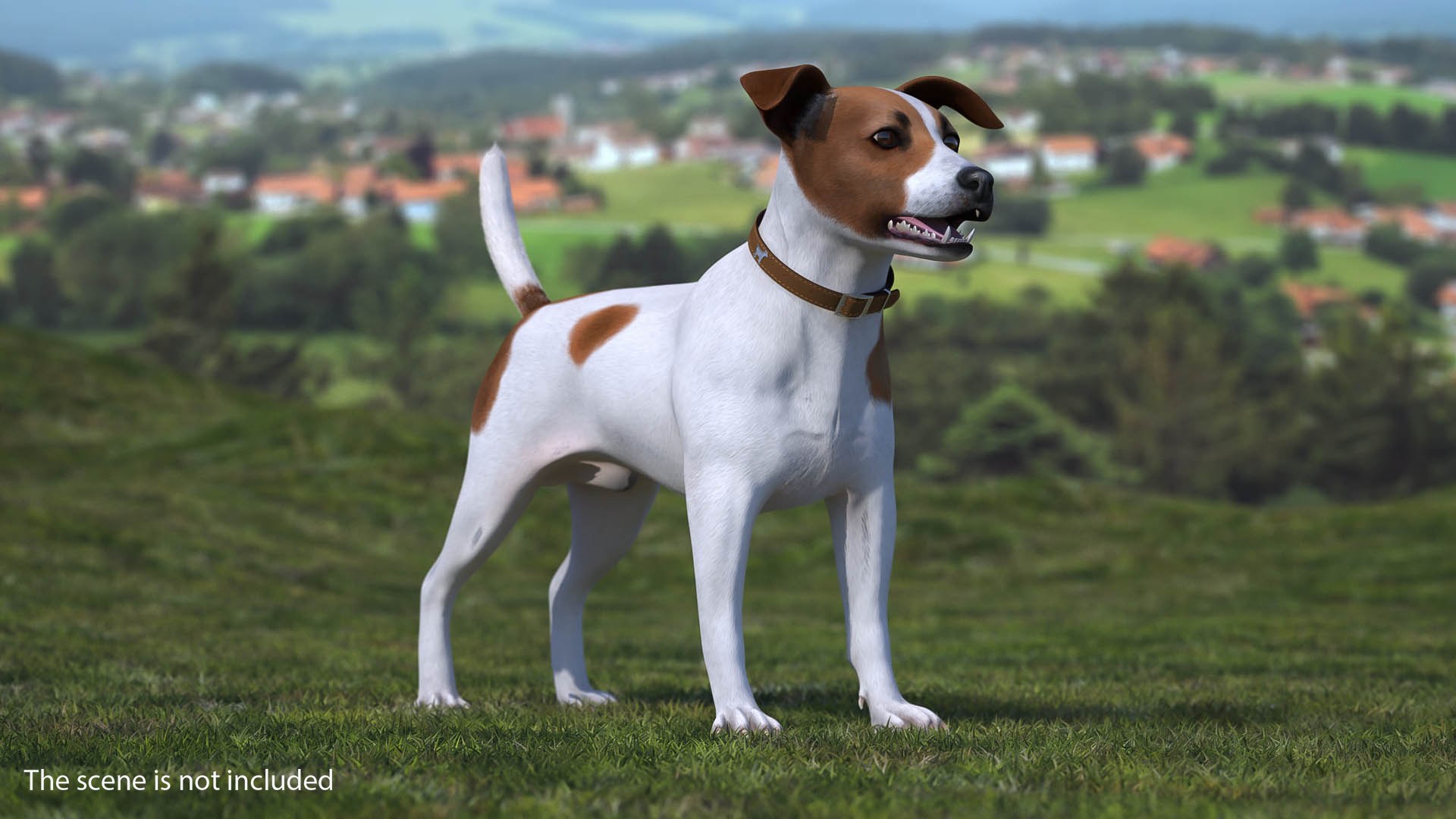 Jack Russell Terrier Spotted Fur 3D model preview