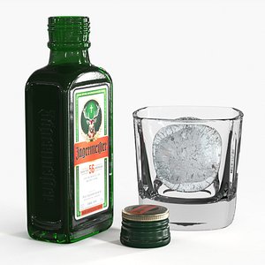 Jagermeister Herbal Liquor Bottle with Ice Glass 3D model