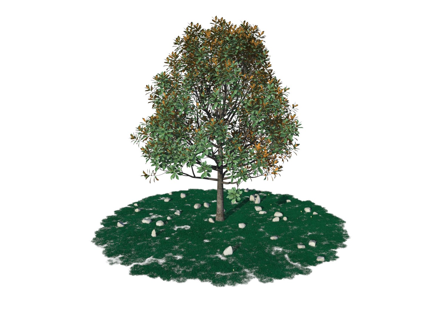 3D Model Tree20220928 TurboSquid 1964845   001 