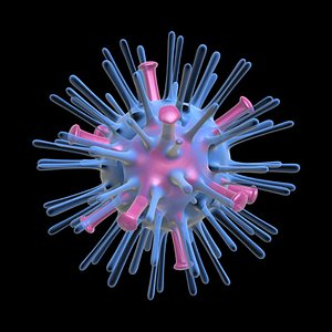avian flu virus 3d model