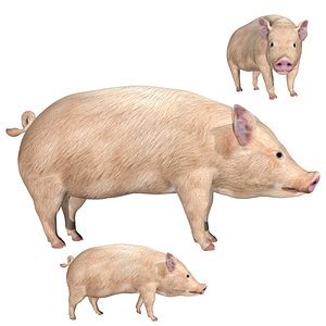 fully rigged low poly Farm Pig