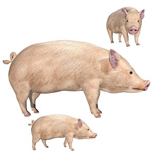 fully rigged low poly Farm Pig
