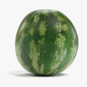3D model melon watermelon
