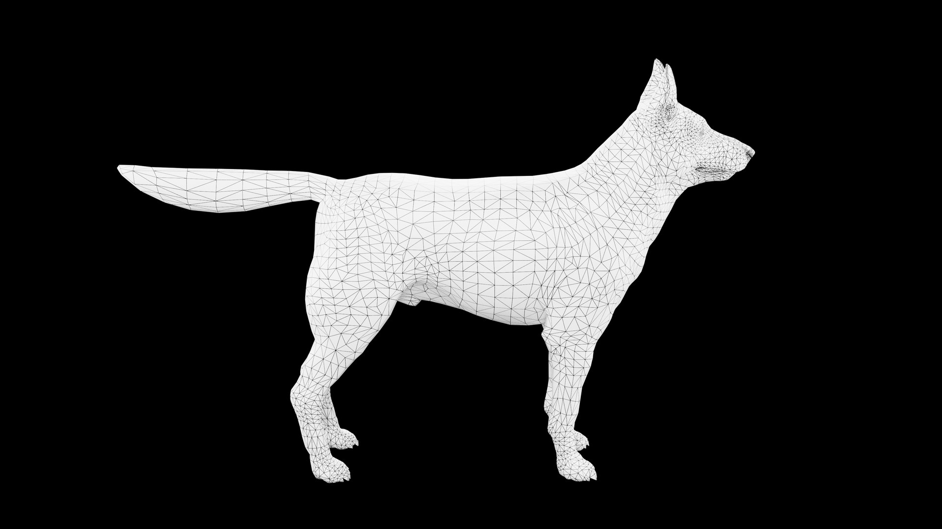 3D Model Siberian Husky Rigged Dog 3D Model - TurboSquid 2257061