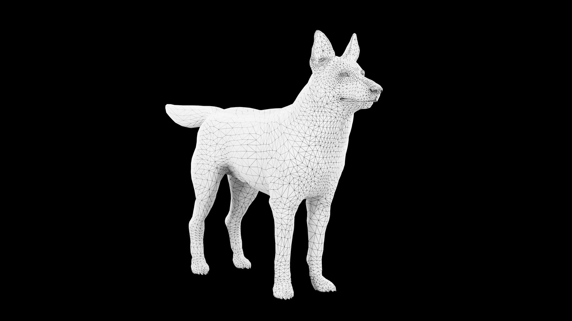 3D Model Siberian Husky Rigged Dog 3D Model - TurboSquid 2257061