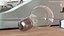 Standard Light Bulb