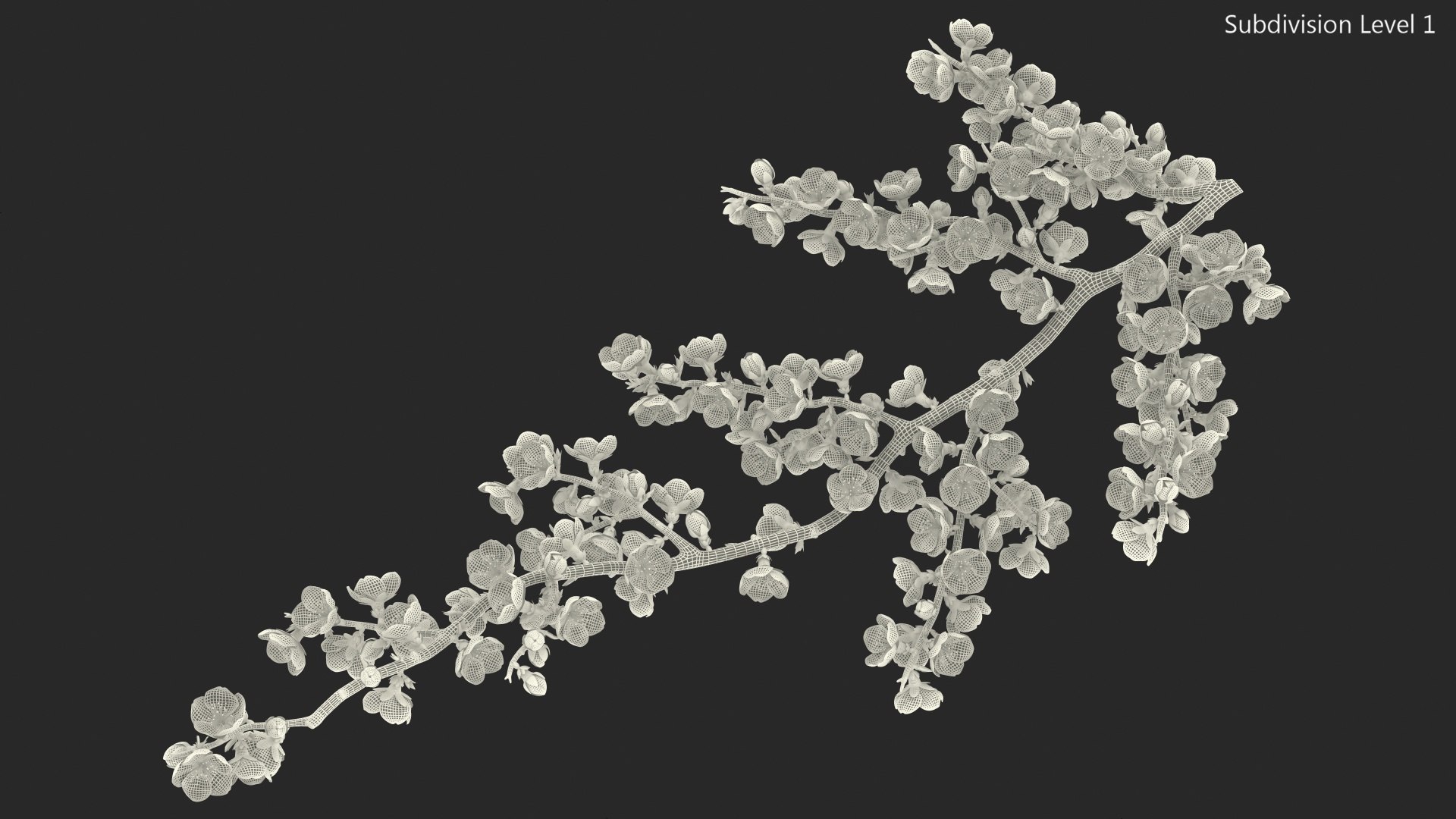 yellow cherry blossom branch tree 3D model https://p.turbosquid.com/ts-thumb/X6/dNvyGY/FNTNsc4h/yellowcherryblossombranchc4dmodel018/jpg/1601311385/1920x1080/fit_q87/a4b3e2031ffc530a5570d66da4dd6df2a44b3d79/yellowcherryblossombranchc4dmodel018.jpg