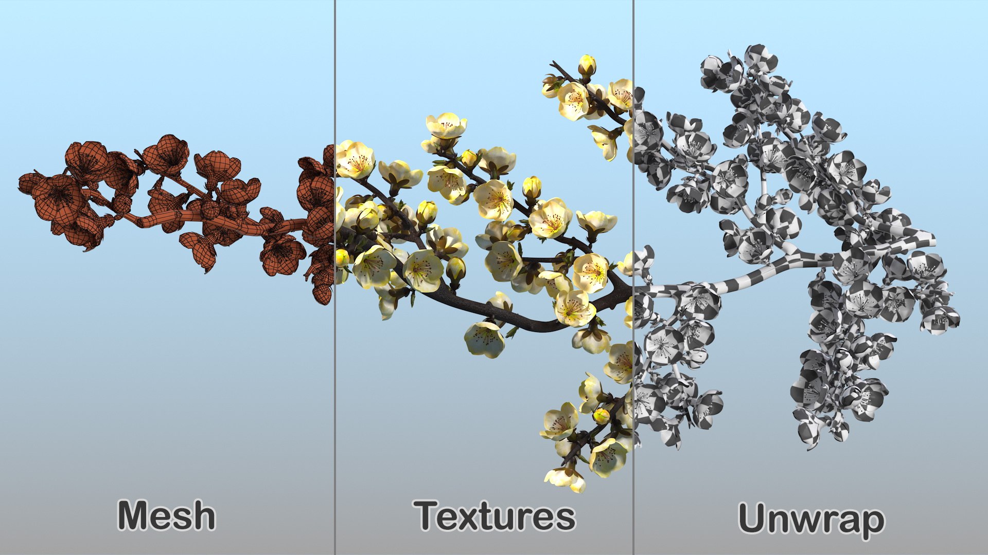 yellow cherry blossom branch tree 3D model https://p.turbosquid.com/ts-thumb/X6/dNvyGY/G2tHGwtN/yellowcherryblossombranchc4dmodel016/jpg/1601311369/1920x1080/fit_q87/fa456b89646900595038a6b2cf3b8621a6d24b46/yellowcherryblossombranchc4dmodel016.jpg