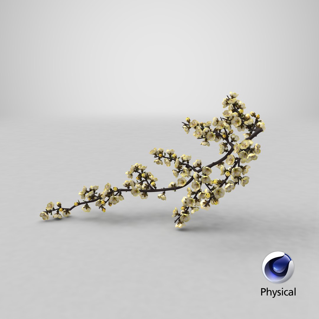 yellow cherry blossom branch tree 3D model https://p.turbosquid.com/ts-thumb/X6/dNvyGY/QI/stemcell_cinema_4d_physical_render/png/1646472668/1920x1080/fit_q87/67e0590bcc7f81cbdc9bded57a6113d64fe9c8cb/stemcell_cinema_4d_physical_render.jpg