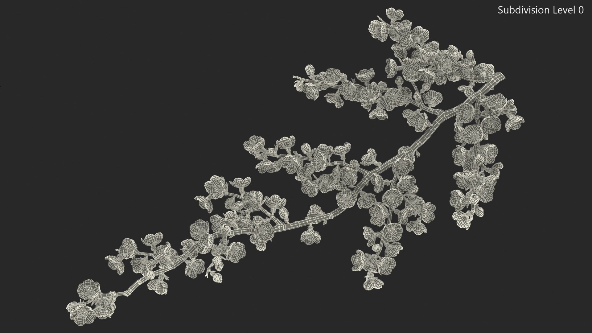 yellow cherry blossom branch tree 3D model https://p.turbosquid.com/ts-thumb/X6/dNvyGY/W3acmAjY/yellowcherryblossombranchc4dmodel017/jpg/1601311377/1920x1080/fit_q87/c975f4a77c59ed3668e5812eca53b1f68c04ee36/yellowcherryblossombranchc4dmodel017.jpg