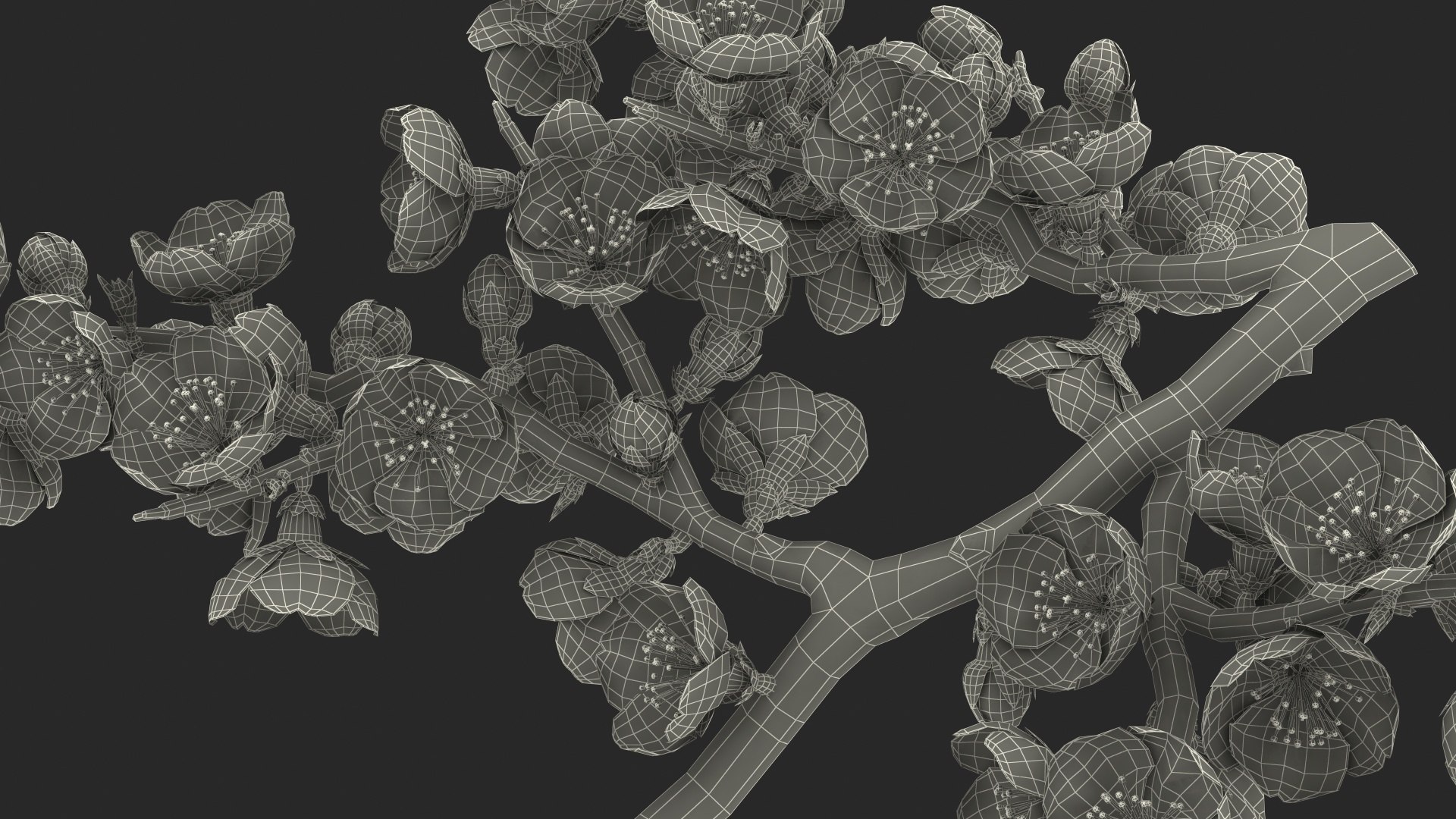 yellow cherry blossom branch tree 3D model https://p.turbosquid.com/ts-thumb/X6/dNvyGY/bpjHGDR4/yellowcherryblossombranchc4dmodel028/jpg/1601311467/1920x1080/fit_q87/a5a5bca7df058e8ec6e54f82100b0b30421a8ba5/yellowcherryblossombranchc4dmodel028.jpg