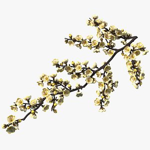 yellow cherry blossom branch tree 3D model