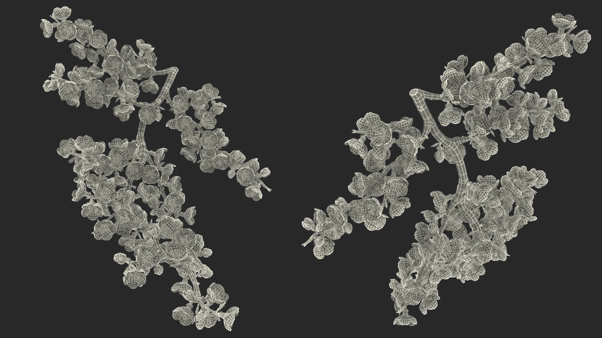 yellow cherry blossom branch tree 3D model https://p.turbosquid.com/ts-thumb/X6/dNvyGY/ph9zGnKb/yellowcherryblossombranchc4dmodel026/jpg/1601311451/1920x1080/fit_q87/f18269d5adeec0d61e2966a83bd02547f41da30d/yellowcherryblossombranchc4dmodel026.jpg