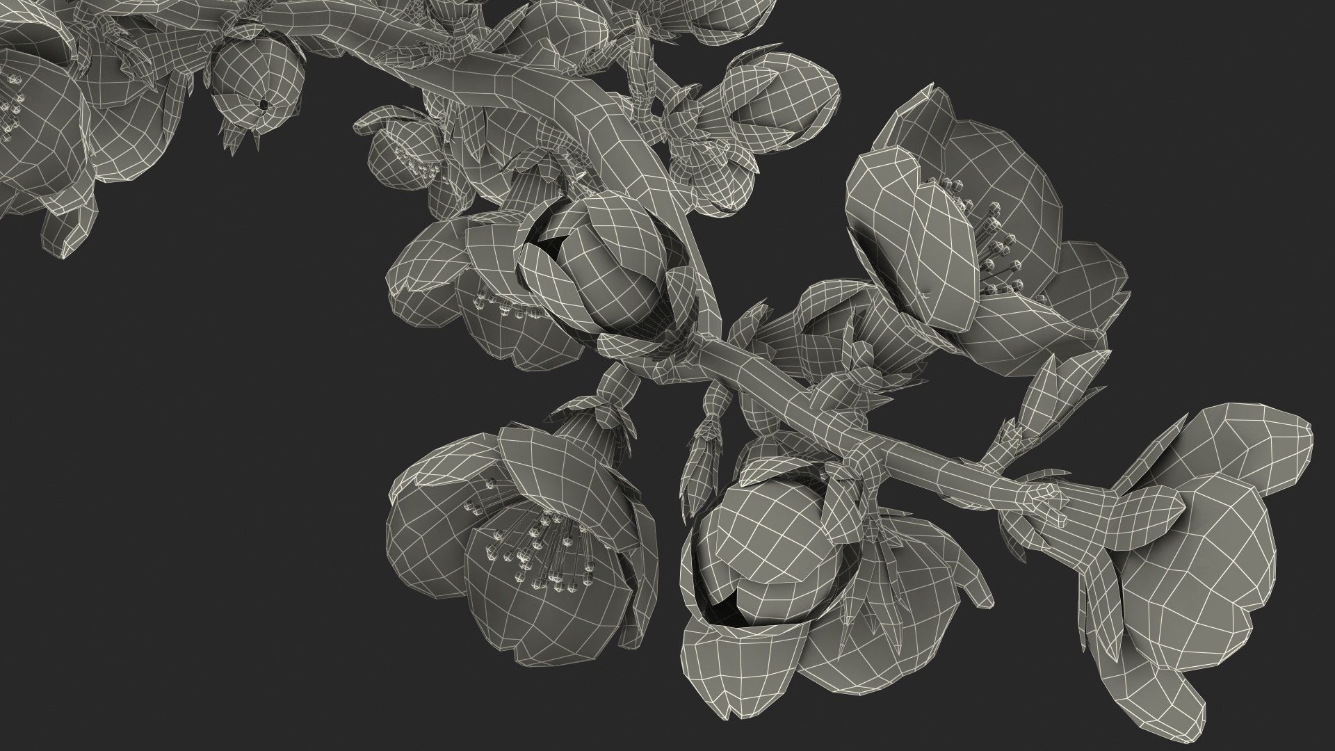 yellow cherry blossom branch tree 3D model https://p.turbosquid.com/ts-thumb/X6/dNvyGY/wlH8mfPJ/yellowcherryblossombranchc4dmodel029/jpg/1601311475/1920x1080/fit_q87/fda3faf22bed2213ddcb246b431d924b70ef6e96/yellowcherryblossombranchc4dmodel029.jpg