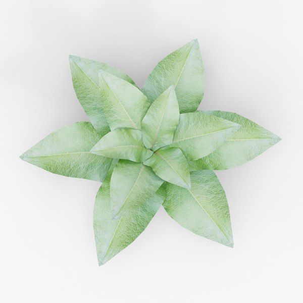 leafy plant 3d model