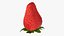 Fragola con gambo 01
