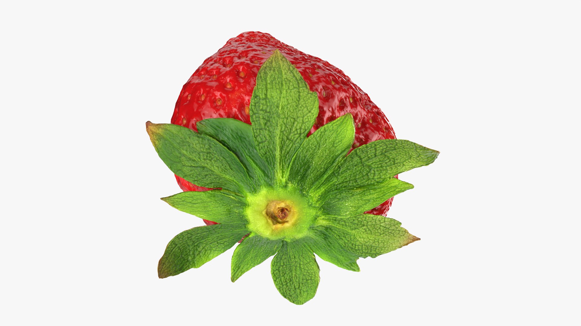 Strawberry With Stem 01 3D model https://p.turbosquid.com/ts-thumb/X6/lhIUTA/CU/strawberry01_0010/png/1767190729/1920x1080/fit_q87/a42efa8717ea462e591d39c83fb5534d6b7e93ad/strawberry01_0010.jpg