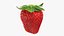 Fragola con gambo 01