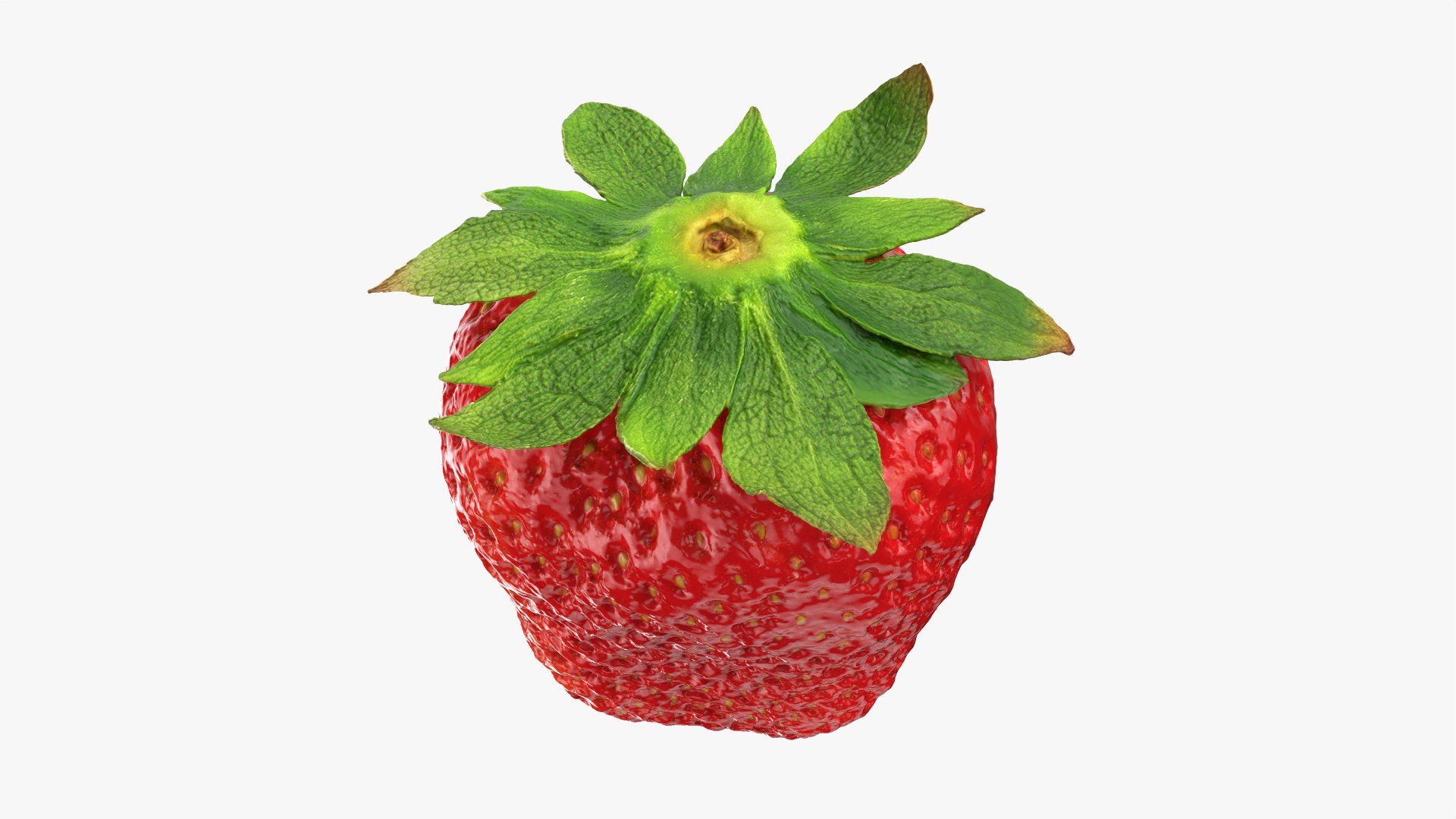 Strawberry With Stem 01 3D model https://p.turbosquid.com/ts-thumb/X6/lhIUTA/XA/strawberry01_0003/png/1767190698/1920x1080/fit_q87/4dedddfe0b3387096213f750a79d76d2b445abba/strawberry01_0003.jpg