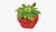 Fragola con gambo 01