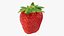Fragola con gambo 01