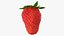 Fragola con gambo 01