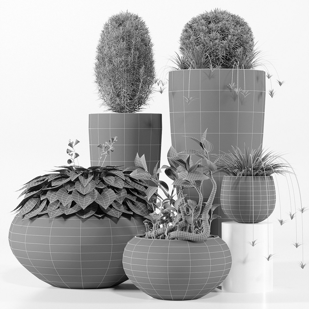 3D model pots dax cora https://p.turbosquid.com/ts-thumb/X6/nJbZrL/b3pAL0J9/ppj7_5/jpg/1509792922/1920x1080/fit_q87/c271131e19eef84f2f2a43f96e2d1a6bd044489a/ppj7_5.jpg