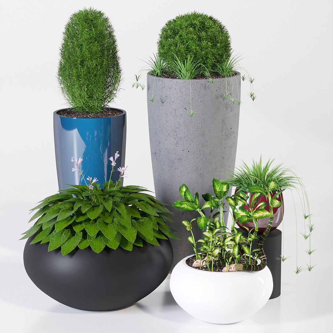 3D model pots dax cora https://p.turbosquid.com/ts-thumb/X6/nJbZrL/idFvi0oM/ppj3_5/jpg/1509792686/1920x1080/fit_q87/e7fd70ca4a159d33f28fe2426c02c92219c8ccc4/ppj3_5.jpg