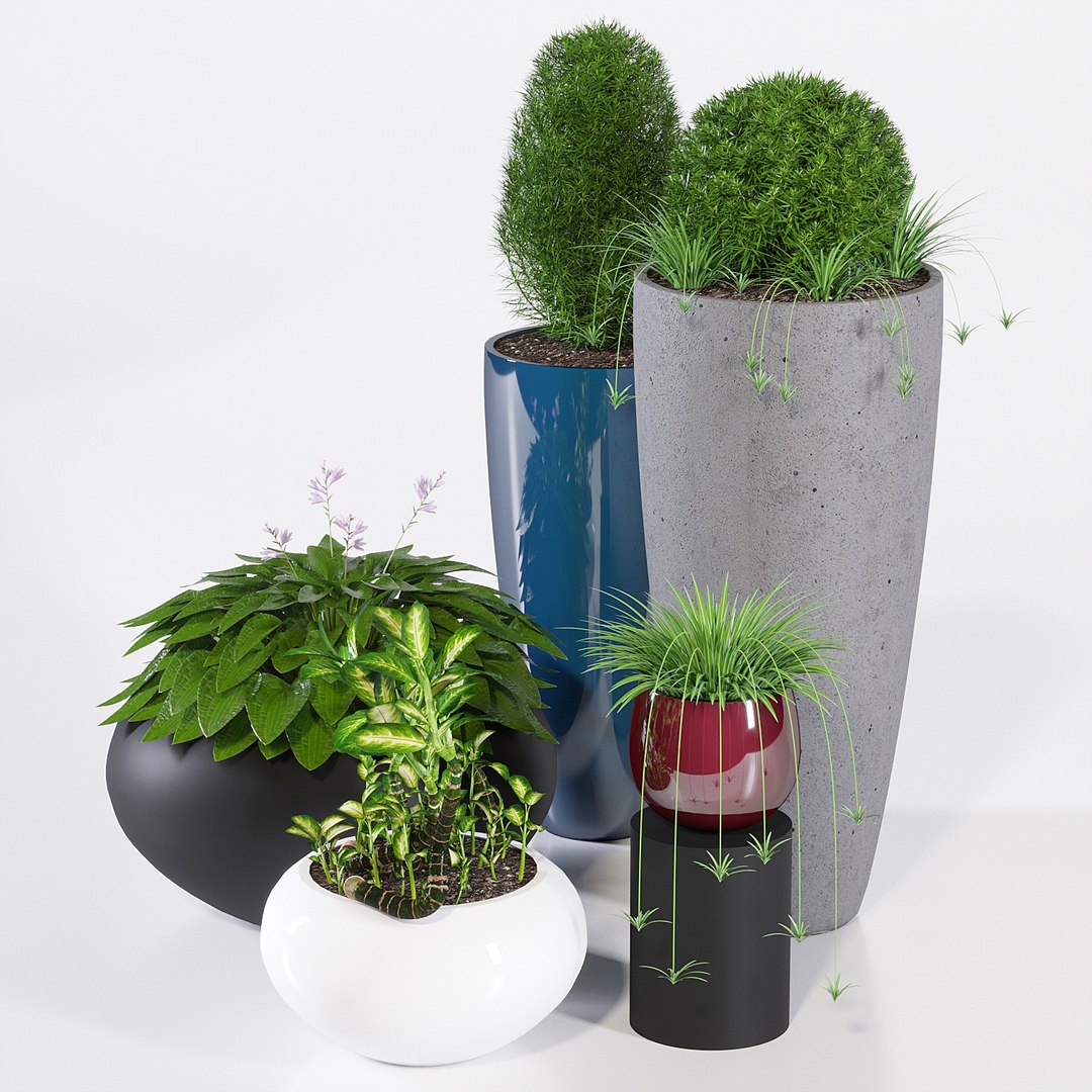 3D model pots dax cora https://p.turbosquid.com/ts-thumb/X6/nJbZrL/z1116b1w/ppj4_5/jpg/1509792880/1920x1080/fit_q87/103fba065fc20b33b23bebc7e8c2c22886dbcb03/ppj4_5.jpg