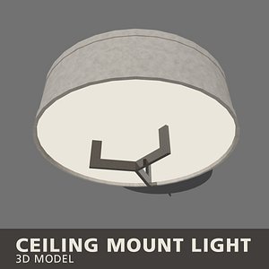 3D ceiling mount light