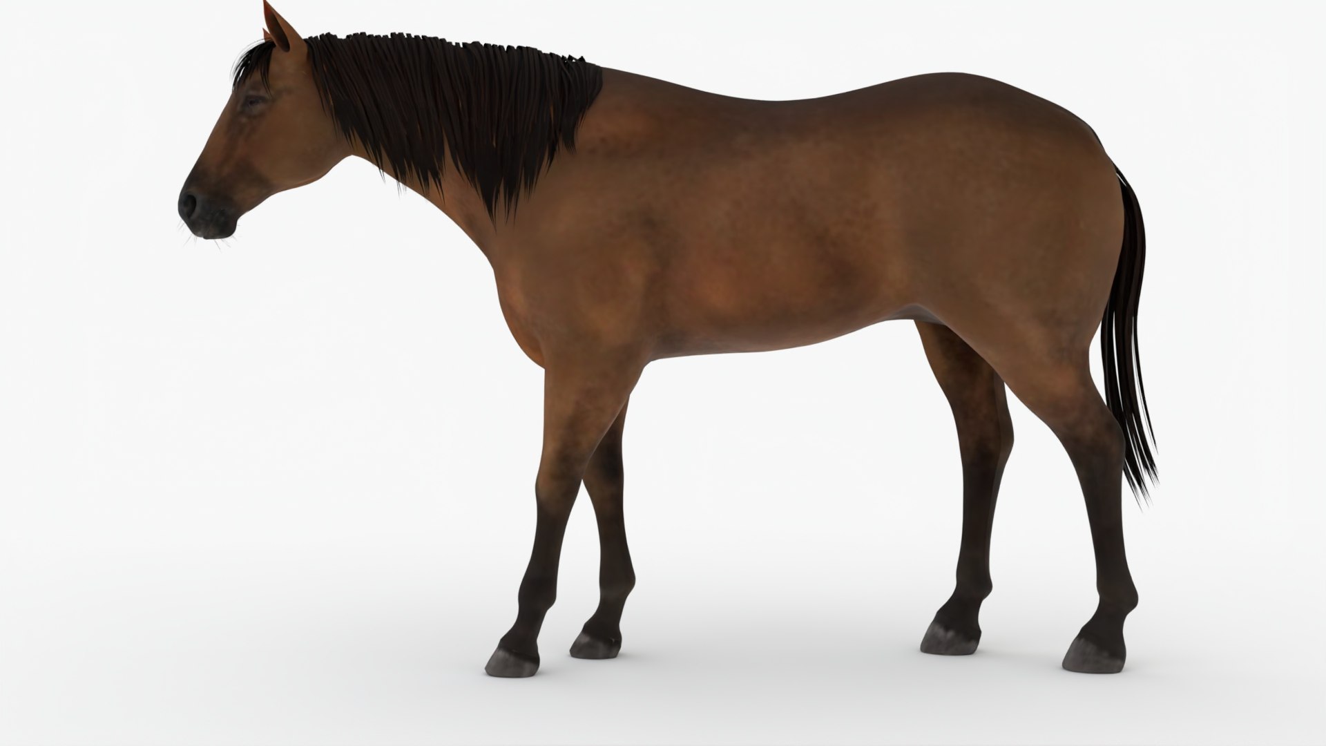 3D Model Horse - TurboSquid 1991400