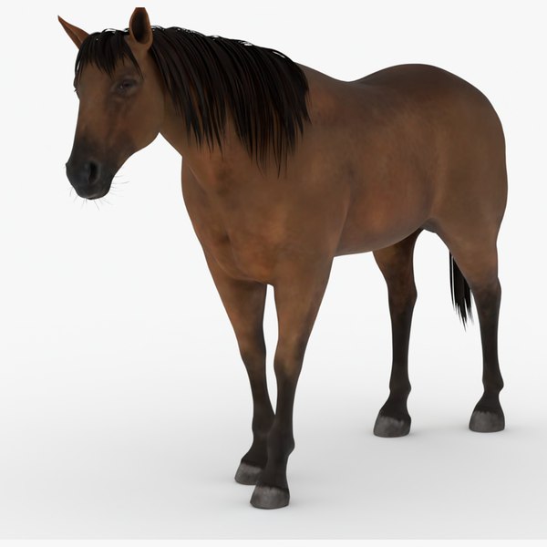 3D model Horse