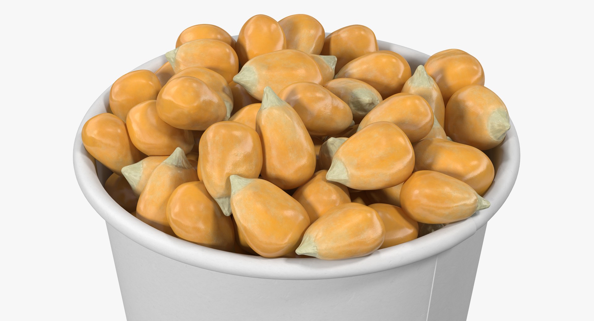 Corn Kernels Cup 2 3D Model TurboSquid 1260729