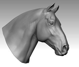 Heavy Horse Head