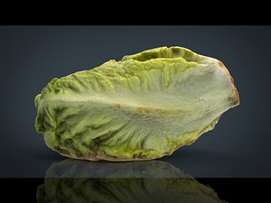 lettuce obj