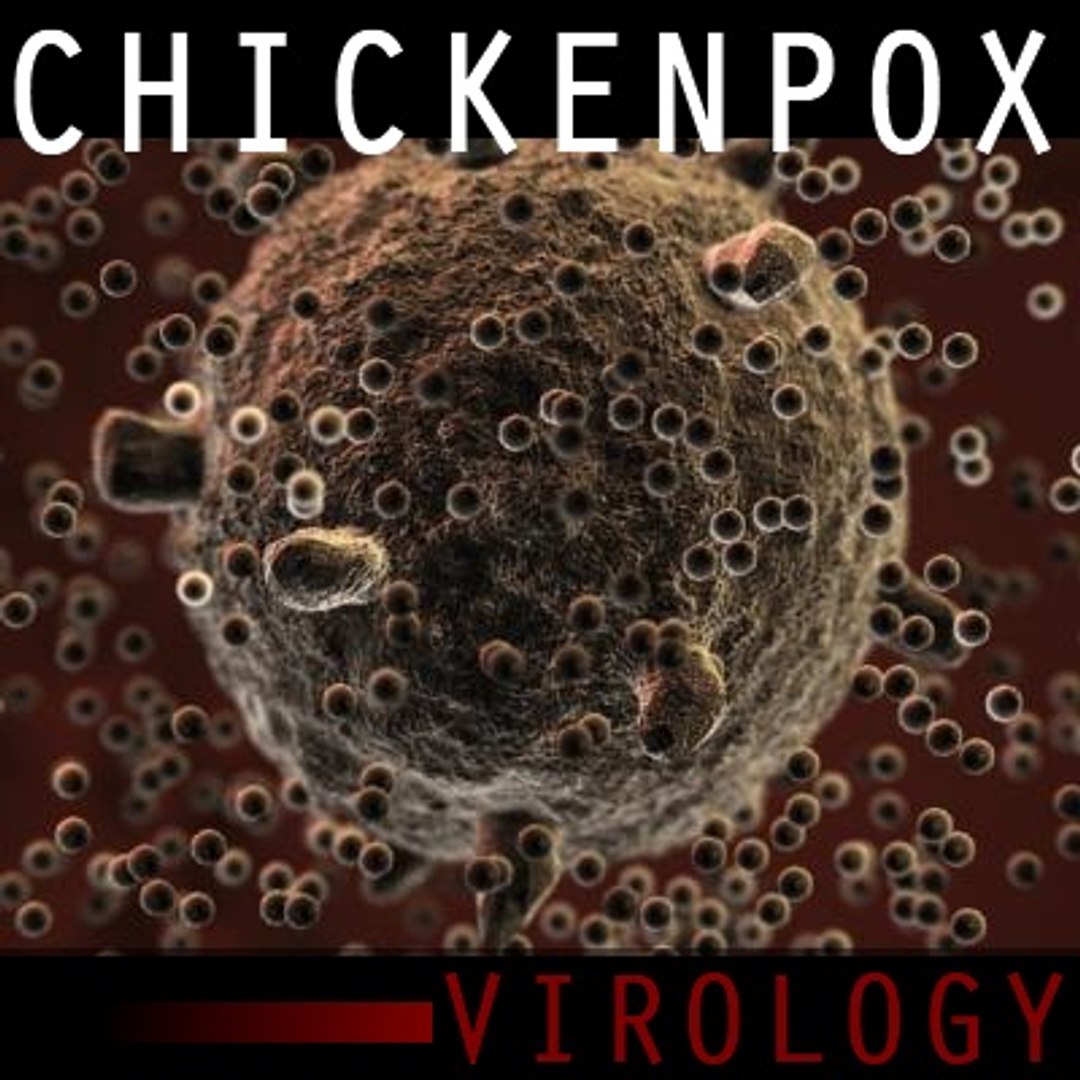 chicken pox virus under microscope