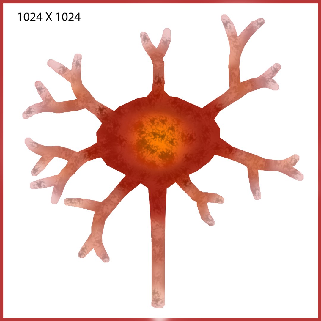 Obj Neural Tissue