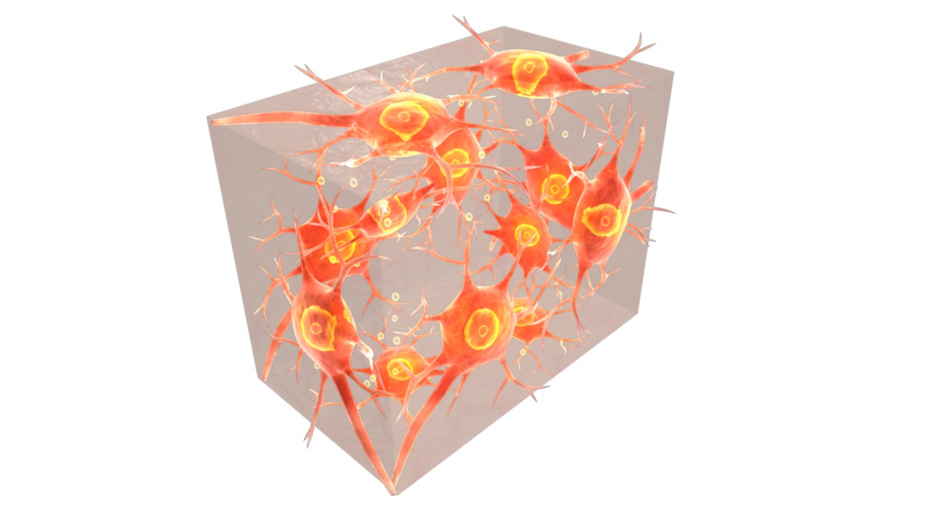 Obj Neural Tissue