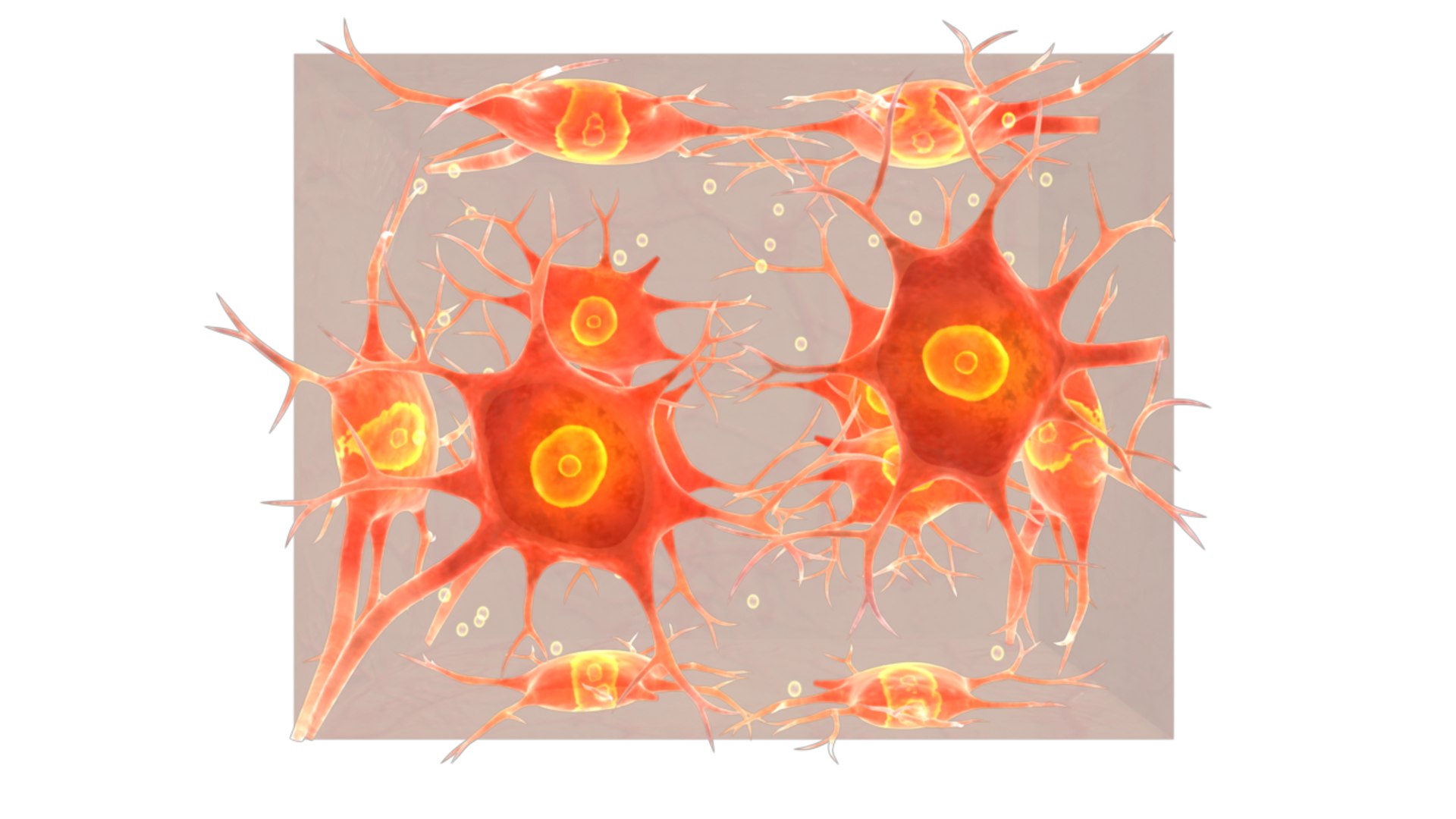 Obj Neural Tissue