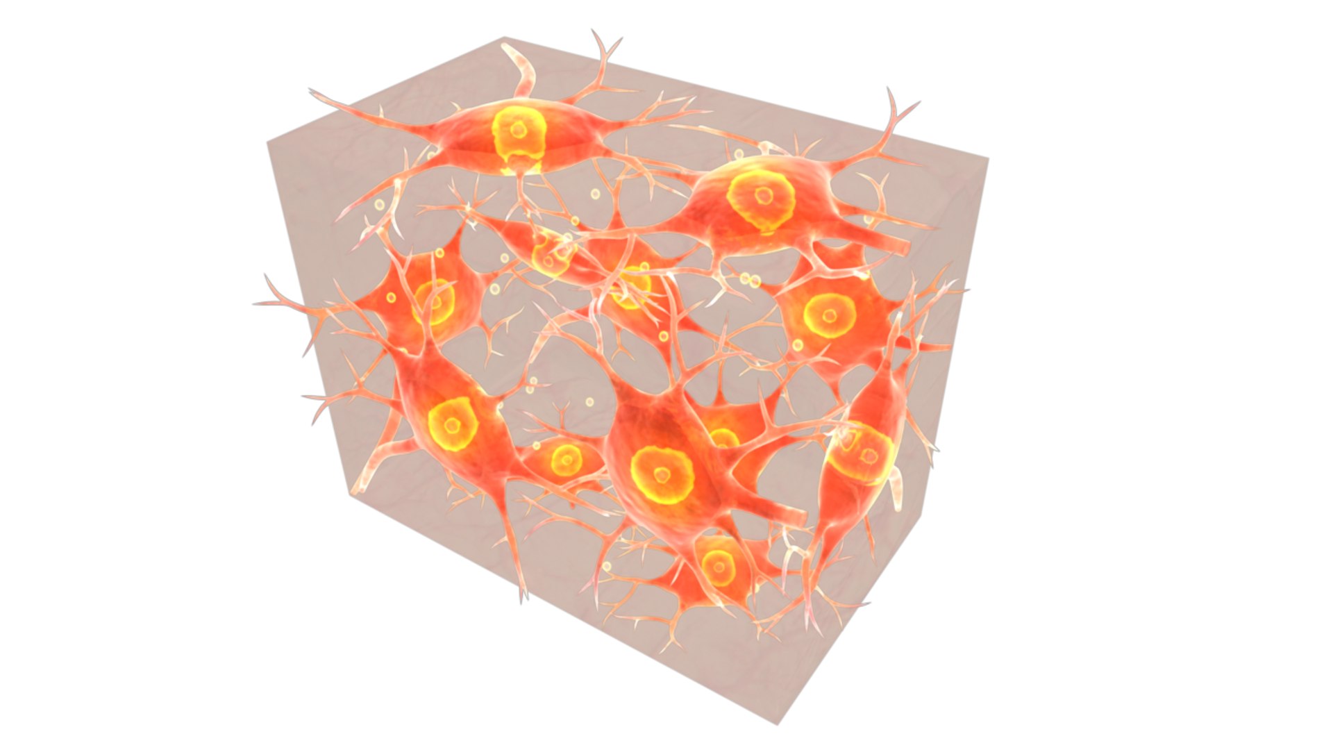Obj Neural Tissue