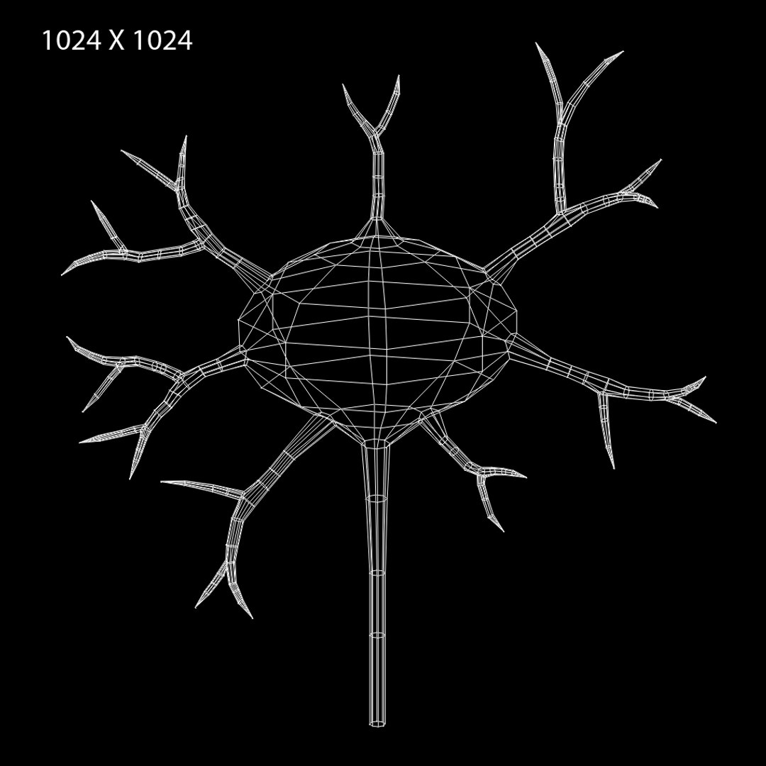 Obj Neural Tissue