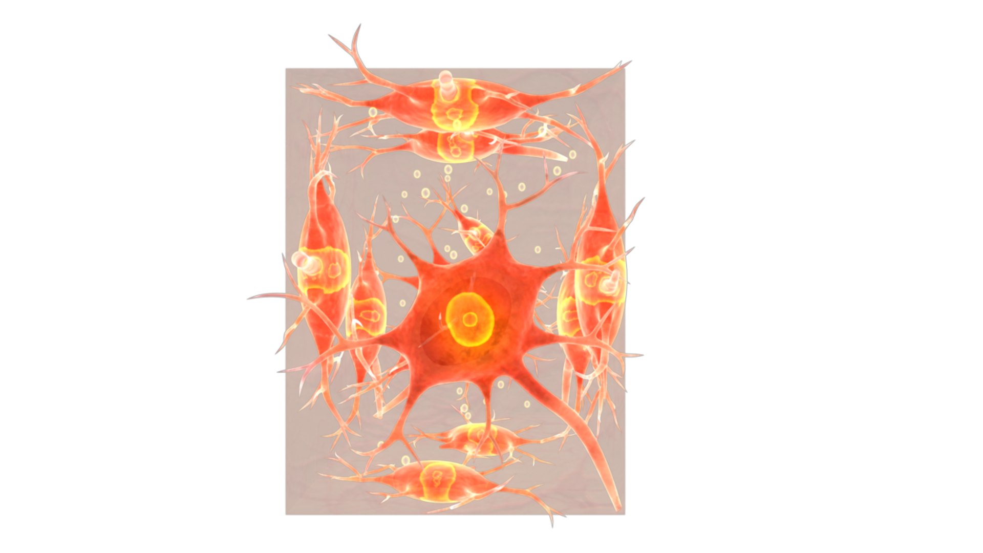 Obj Neural Tissue
