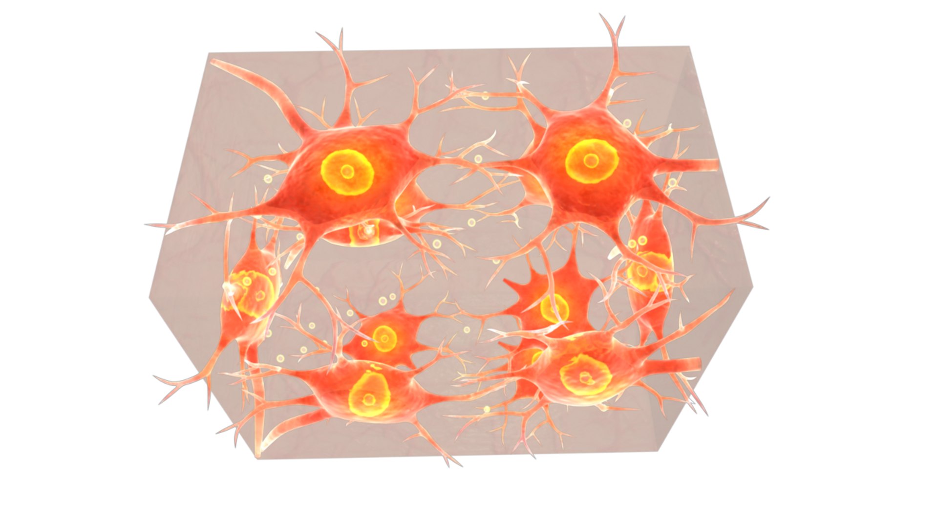Obj Neural Tissue