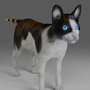 Calico Cat NO Rigged in Blender 3D